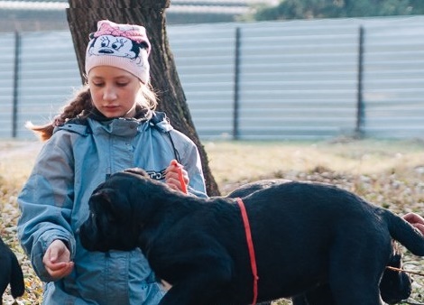 У Фельдман Екопарк відкрилася Школа юного хендлера