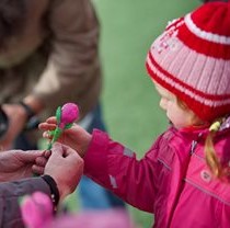 Свято на честь весняних первоцвітів пройшло у Фельдман Екопарк