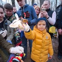 У Фельдман Екопарк пройшов традиційний випуск рукокрилих