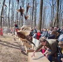 У Фельдман Екопарк випустили в природу рекордну кількість птахів