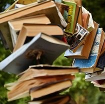 У рамках Kazka Fest у Фельдман Екопарк пройшов книжковий ярмарок