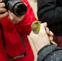О. Фельдман: участь України в конференції СІТЕС – важливий крок на шляху боротьби з міжнародною зооконтрабандою
