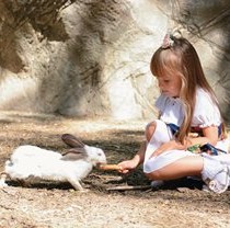У Фельдман Екопарк відзначать День кролика