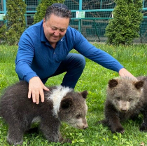 У Фельдман Екопарк вперше народилися ведмежата