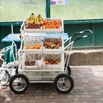 Обезьян Фельдман Экопарк теперь можно побаловать угощениями