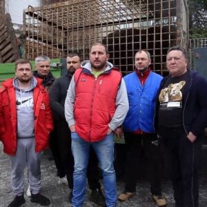 We’ve taken out bears and Scottish cows from under shelling