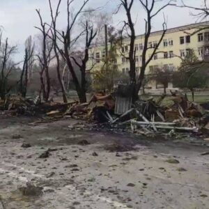 Another batch of birds and ungulates has been evacuated from the “grey” zone