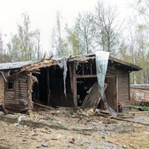 The sad consequences of shelling in Feldman Ecopark