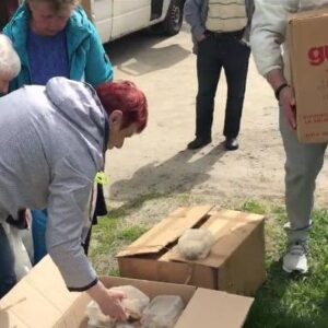 Горячая домашняя еда как символ мирной жизни