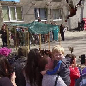 У Фельдман Екопарк випустили фазанів у дику природу