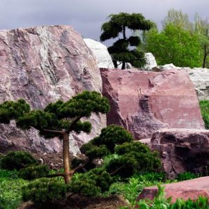 О.  Фельдман про День перемоги над нацизмом: Зв’язок поколінь – це спільна пам’ять