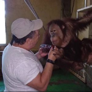 О. Фельдман: “Я не виїхав на початку повномасштабної війни з Харкова, я не виїду з міста зараз.”