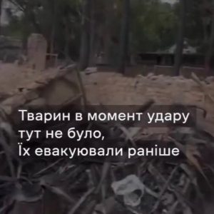 Фельдман Екопарк знову постраждав від російських бомбардувань