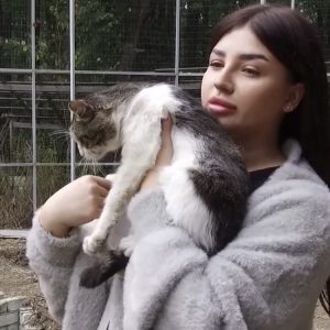 “Добрий дім Фельдман Екопарк” розширює роботу з порятунку тварин, що постраждали від війни