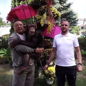 Фельдман Екопарк готується до проведення традиційного Балу хризантем