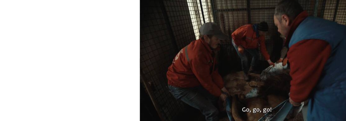 Фільм про Фельдман Екопарк здобув вже шість нагород на міжнародних кінофестивалях