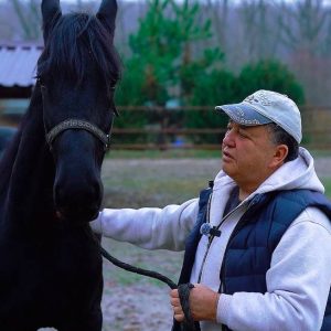 У Кінному комплексі Фельдман Екопарк оселилася чорна перлина — граційний фріз Сенйор